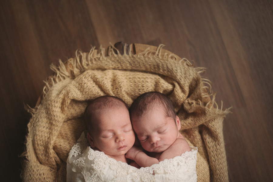 {Luella Miette & Maeve Emmeline} ~ brisbane newborn photographer ...