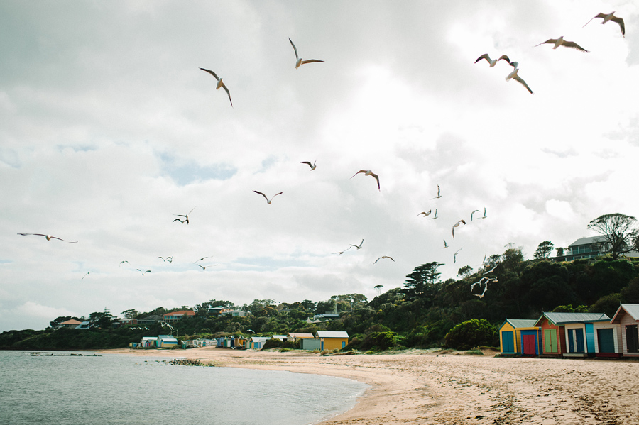 NewbornPhotographer063