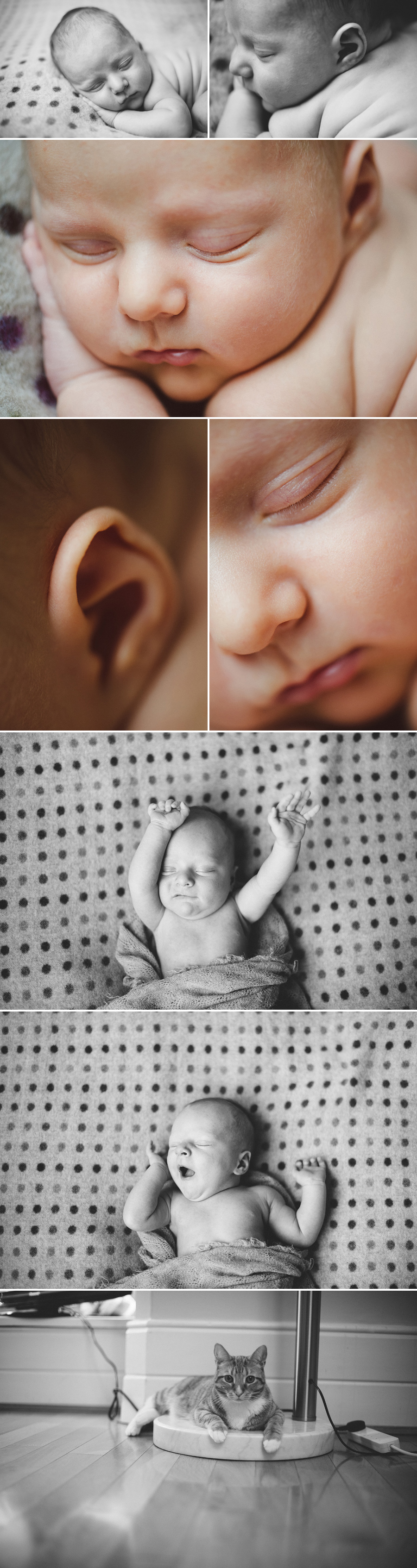 londonnewbornphotographercomp013